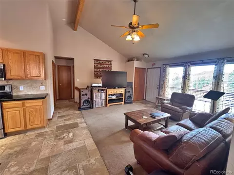 Other - 17 Silver Springs Rd, Bailey, CO 80421 photo 4 of 16