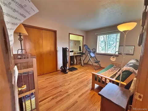 Bedroom - 17 Silver Springs Rd, Bailey, CO 80421 photo 1 of 5