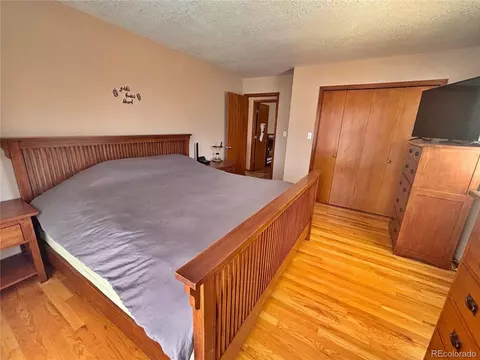 Bedroom - 17 Silver Springs Rd, Bailey, CO 80421 photo 5 of 5