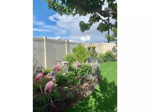 19195 E 55th Ave, Denver, CO 80249 photo 32