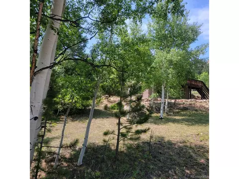 109 Kiowa Trl, Lake George, CO 80827