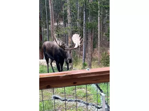 Exterior - 65 Apache Rd, Evergreen, CO 80439 photo 11 of 11