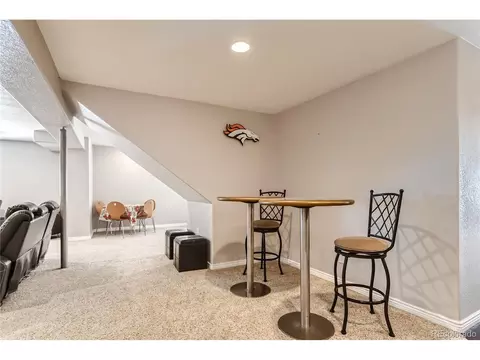 6230 E 133rd Pl, Thornton, CO 80602 photo 29