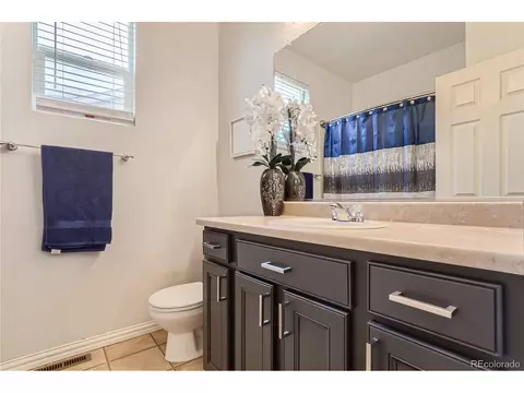 6230 E 133rd Pl, Thornton, CO 80602 photo 24