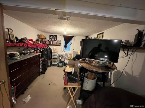8741 Faraday St, Denver, CO 80229 photo 21