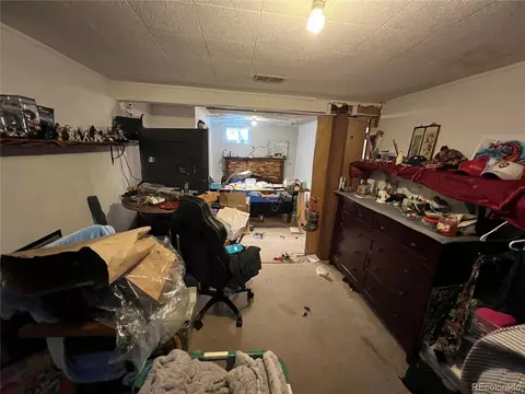 8741 Faraday St, Denver, CO 80229 photo 22