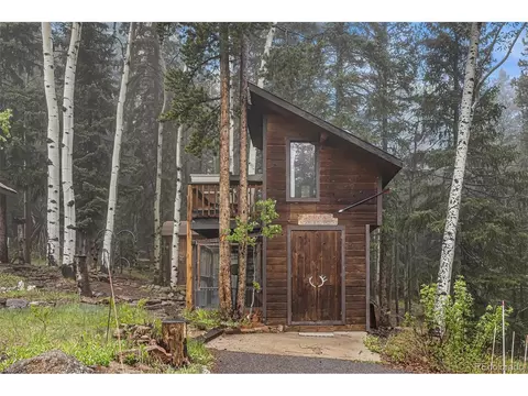 10419 Christopher Dr, Conifer, CO 80433 photo 38
