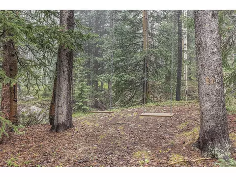 10419 Christopher Dr, Conifer, CO 80433 photo 42