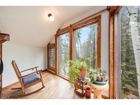 10419 Christopher Dr, Conifer, CO 80433 photo 23