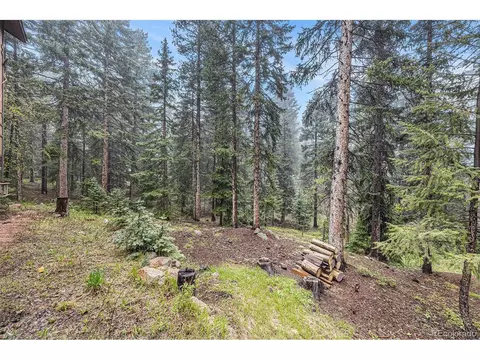 10419 Christopher Dr, Conifer, CO 80433 photo 39
