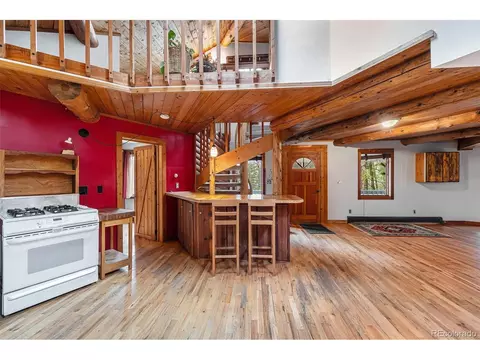 10419 Christopher Dr, Conifer, CO 80433 photo 10