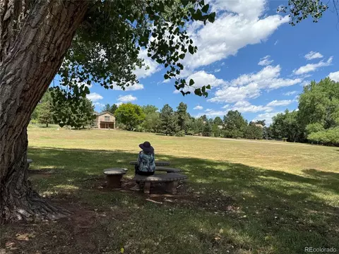 Other - 6115 Meadowbrook Dr, Morrison, CO 80465 photo 18 of 19