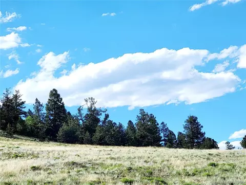 827 Cherokee Trl, Hartsel, CO 80449
