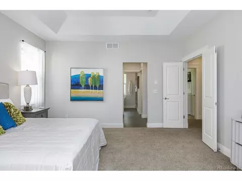 7899 E 25th Pl, Denver, CO 80238 photo 15