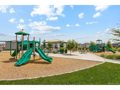977 Cascade Falls St, Severance, CO 80550 photo 19