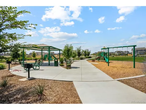 977 Cascade Falls St, Severance, CO 80550 photo 18