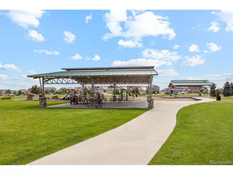 977 Cascade Falls St, Severance, CO 80550 photo 22