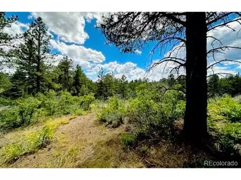 550 Deer Trl, Pagosa Springs, CO 81147