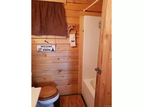140 Chippewa Ct, Como, CO 80432 photo 17