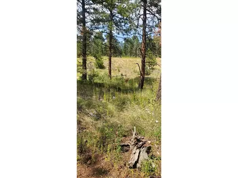 27793 Fawn Dr, Conifer, CO 80433