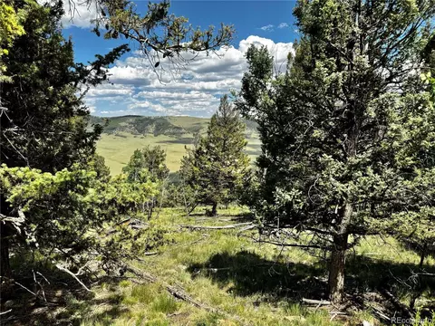 5366 Middle Fork Vis, Fairplay, CO 80440