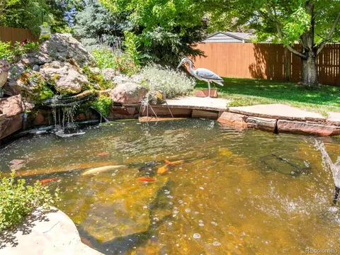 4877 Barn Owl Dr, Longmont, CO 80504 photo 37