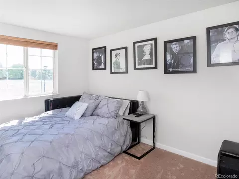4877 Barn Owl Dr, Longmont, CO 80504 photo 24