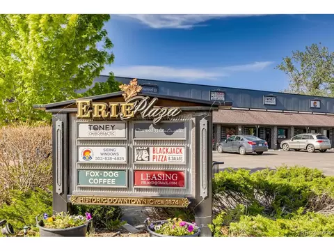 979 Quarry Cir, Erie, CO 80516 photo 32