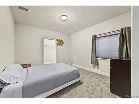 438 Iris St, Brighton, CO 80601 photo 34