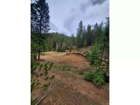 3391 S Beaver Creek Rd, Black Hawk, CO 80422
