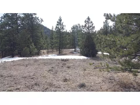 Undisclosed, Westcliffe, CO 81252 photo 13