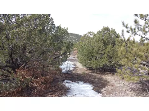 Undisclosed, Westcliffe, CO 81252 photo 6