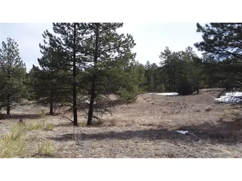 Undisclosed, Westcliffe, CO 81252 photo 10