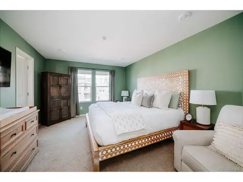 10244 E 59th Ave, Denver, CO 80238 photo 11