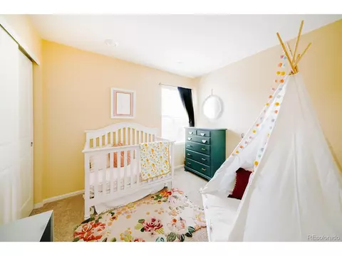 10244 E 59th Ave, Denver, CO 80238 photo 17