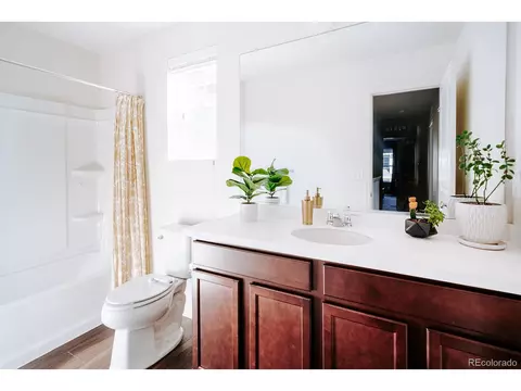 10244 E 59th Ave, Denver, CO 80238 photo 16