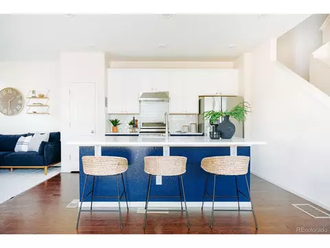 10244 E 59th Ave, Denver, CO 80238 photo 3