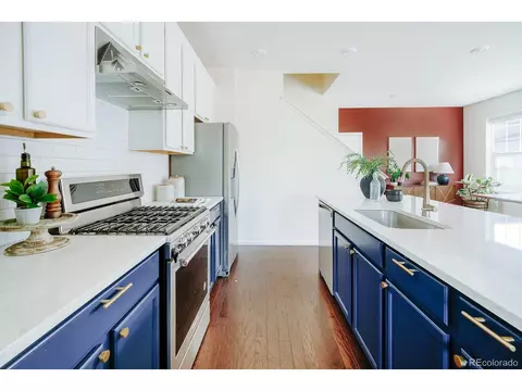 10244 E 59th Ave, Denver, CO 80238 photo 4