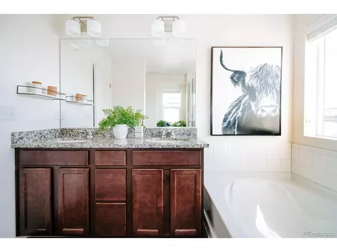 10244 E 59th Ave, Denver, CO 80238 photo 12