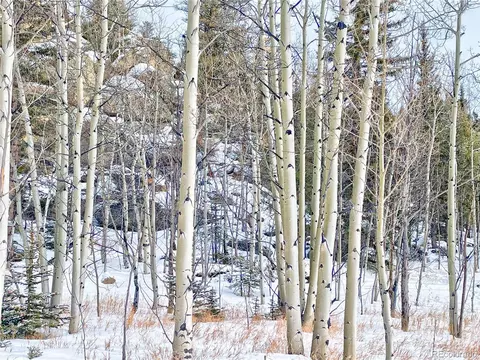 0 Brook Dr, Lake George, CO 80827