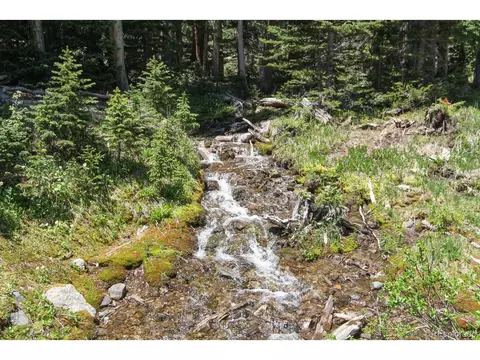135 Nugget Ln, Alma, CO 80420 photo 37