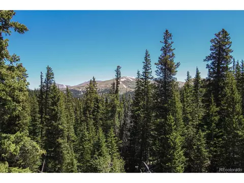 135 Nugget Ln, Alma, CO 80420 photo 33