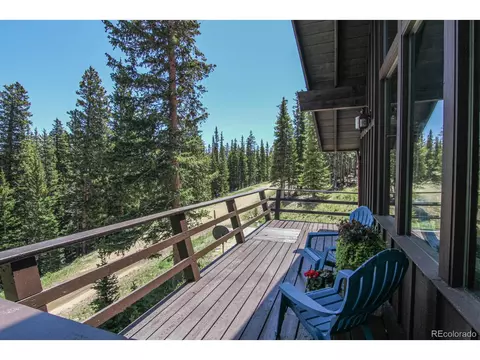 135 Nugget Ln, Alma, CO 80420 photo 13