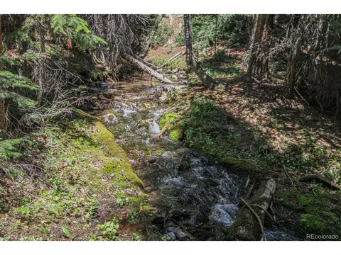 135 Nugget Ln, Alma, CO 80420 photo 34