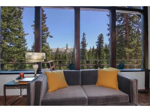 135 Nugget Ln, Alma, CO 80420 photo 3