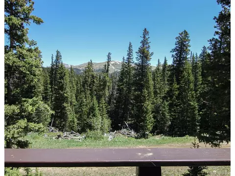 135 Nugget Ln, Alma, CO 80420 photo 11