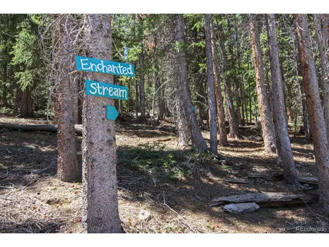 135 Nugget Ln, Alma, CO 80420 photo 35
