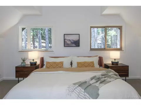 135 Nugget Ln, Alma, CO 80420 photo 24
