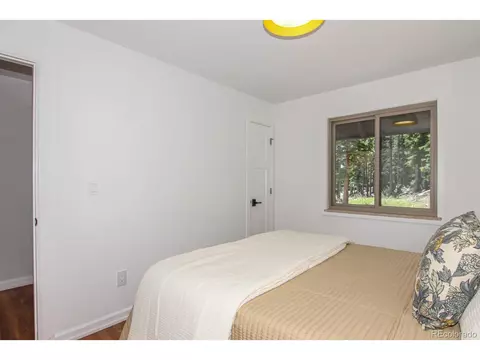 135 Nugget Ln, Alma, CO 80420 photo 15