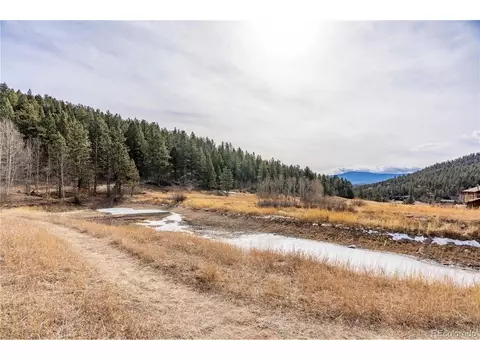 View/Area - 212 Wisp Creek Dr, Bailey, CO 80421 photo 1 of 1